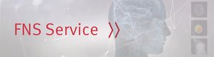 Link: FNS Service